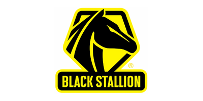 Black Stallion